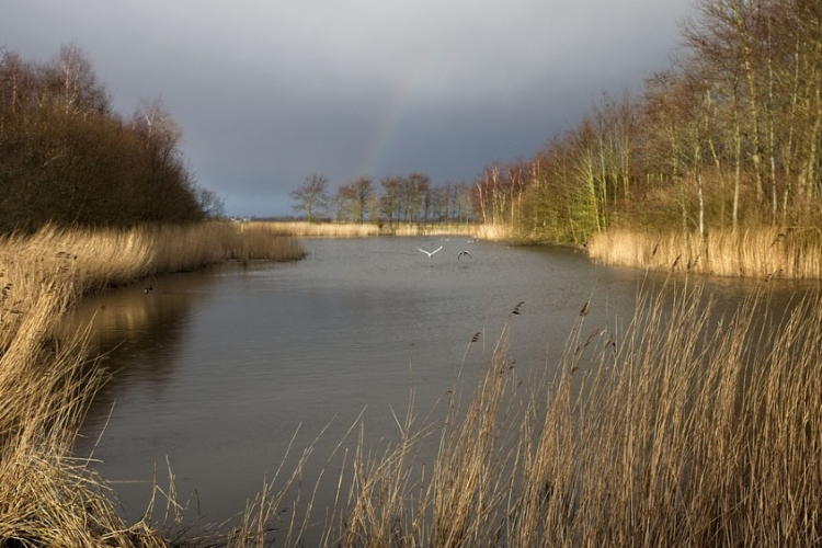 Csendesedik a szél!