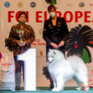 FCI European Dog Show 2021