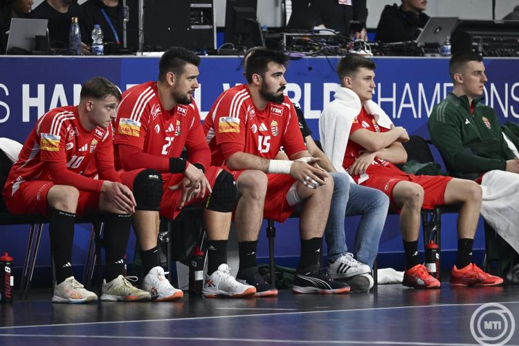 Férfi kézilabda-vb - Rodríguez szerint nem veszített, hanem szerzett egy pontot a magyar válogatott