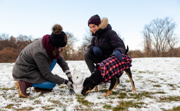 Szeles idő záporokkal, hózáporokkal