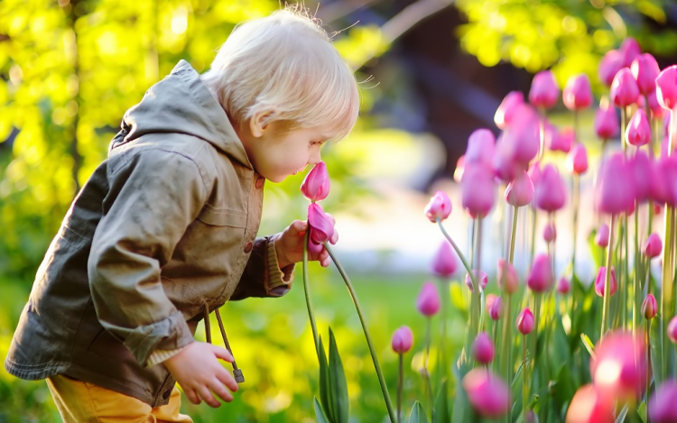 Kora tavaszi idő kisebb esővel, záporral.