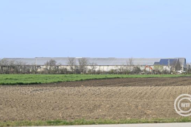 Nagy István: a saját állatai megóvása érdekében minden gazdálkodó továbbra is tartsa be a hatósági előírásokat