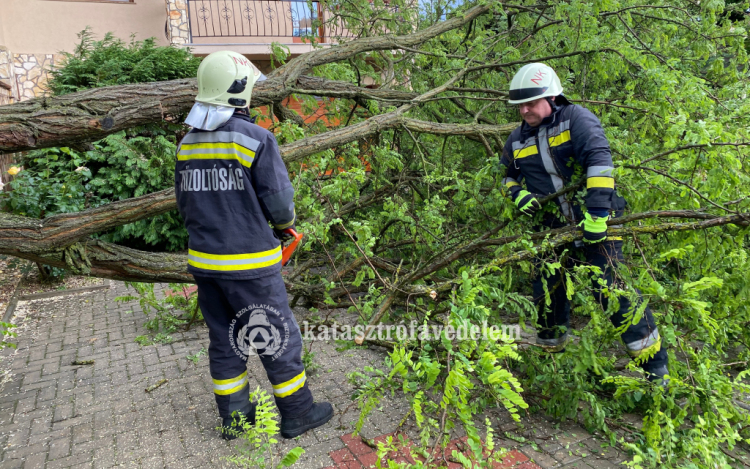  Több településen is gondot okoztak a kidőlt fák!