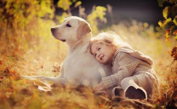 Idén csaknem ötszáz oktatási intézmény pályázott az állatbarát címre.