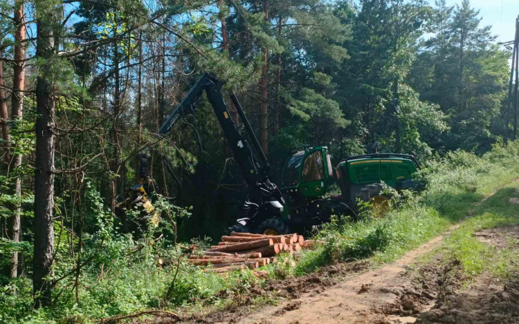 Figyelemfelhívás - Lucfenyő pusztulás Somoskőújfalu térségében