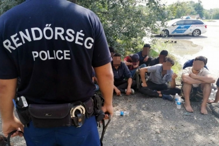 Jelentősen emelkedett a migrációs nyomás a magyar-szerb határon