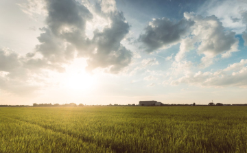 Többórás napsütés elszórt záporokkal.