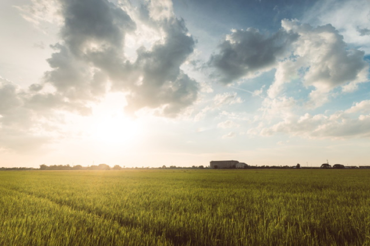 Többórás napsütés elszórt záporokkal.