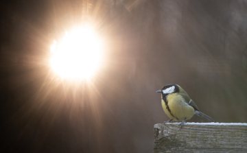 Több órára kisüt a nap!