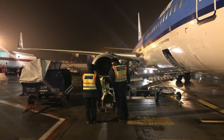 Poggyászpakolók fosztogattak a Liszt Ferenc-repülőtéren