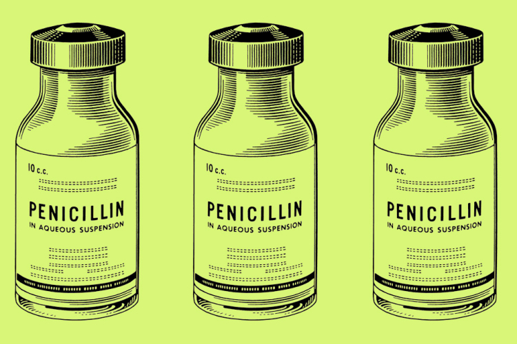 Fleming legendás penicillin-felfedezése