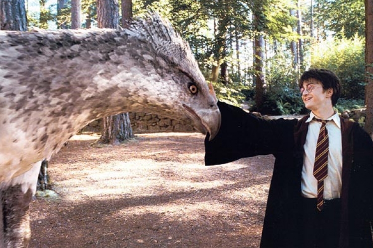 Külön mozifilmben a Harry Potter-könyvek legendás állatai