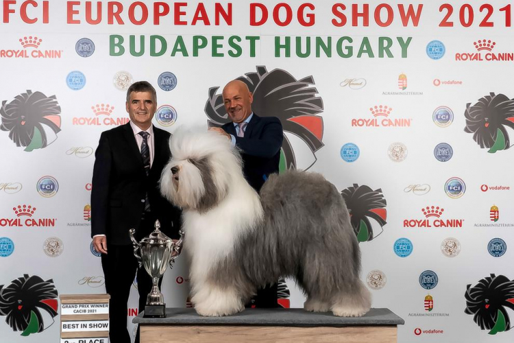 FCI European Dog Show 2021