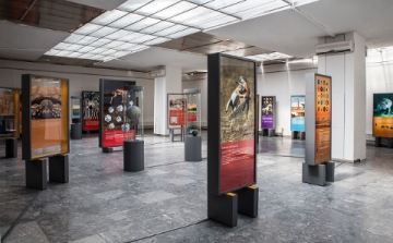 Afrikai kalandtúra a Dornyay Múzeumban