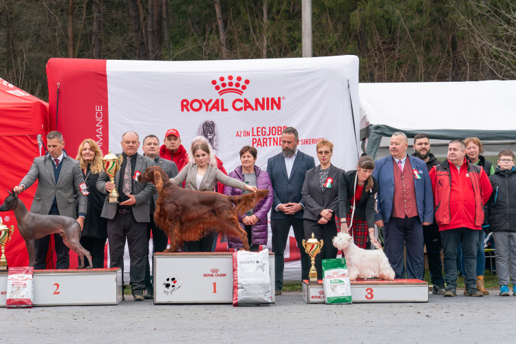 Salgótarjáni CAC Kutyakiállítás.