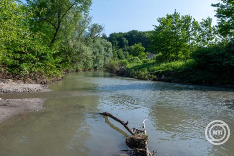Parajd - A Nagy-Küküllőn és a Maroson is meghaladja már a megengedett értéket a só koncentrációja