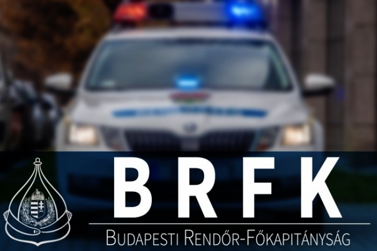 LAKOSSÁGI SEGÍTSÉGGEL FOGTÁK EL A RABLÓT A BUDAPESTI RENDŐRÖK 