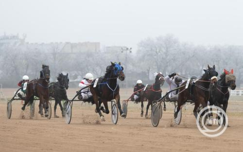 Ismét Ügetőszilveszter a Kincsem Parkban